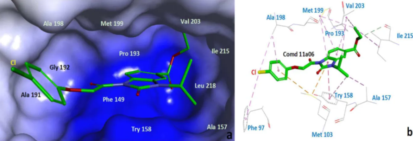 Figure 3. Structure of 11a06 bound to the fatty acid synthetase active site by molecular docking (PDB code: 2NSD).