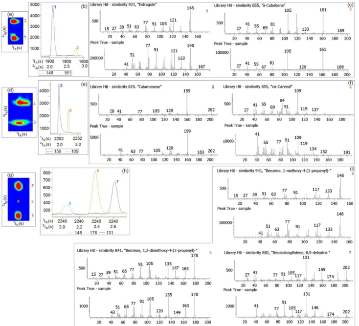 Figure 5. Example that demonstrates the separation of co-eluted volatile compounds in  1 D due to selectivity in  2 D: regions (a), (d) and (g) of the color  plot show co-eluted peaks in 1 D