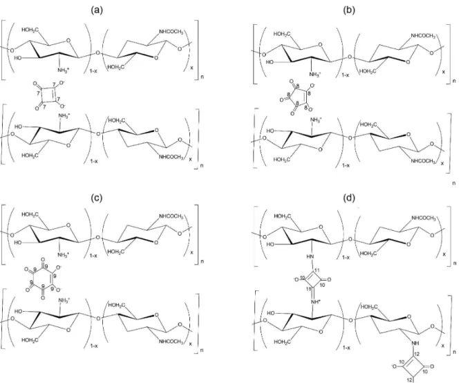 Figure 2. Proposed structures for the crosslinked chitosans containing the respective oxocarbon ions.