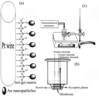 Figure 1. (a) Schematic of the working electrode; (b) schematic of  the equipment used for PTFE membrane-LPME and in situ DPASV; 