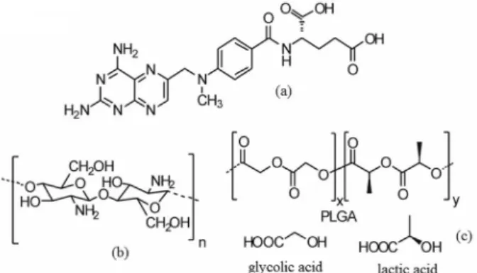 Figure 1. Schematic representation of the chemical structure of MTX (a),  CH (b) and PLGA with their possible monomers (glycolic and lactic  acid) (c).