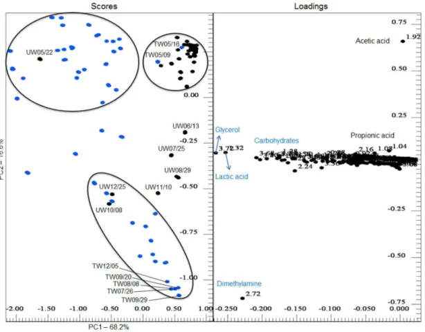 Figure 3. PC1 and PC2 scores (left) and loadings (right) coordinate system for the UW (black) and the TW (blue) samples.