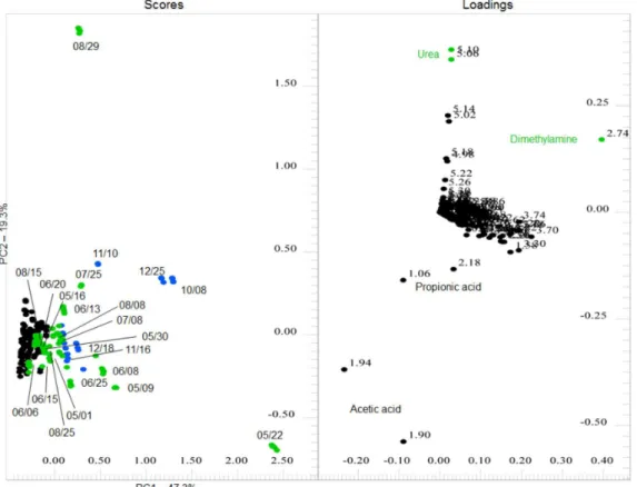 Figure 4. PC1 and PC2 scores and loadings system for UW samples.