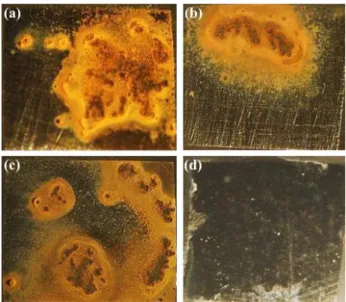 Figure 10. Optical microscopy images of carbon steel after 24 h in  1.0 mmol L −1  NaCl solution: (a) weld and (b) base metal electrically  disconnected and (c) weld and (d) base metal electrically connected  (galvanic couple).