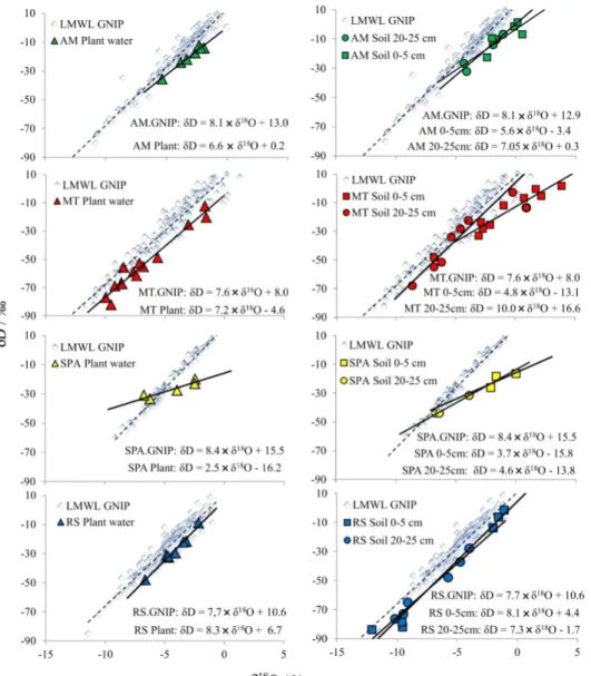 Figure 4. Local soil- and plant-water lines and comparison with GNIP rainwater data.