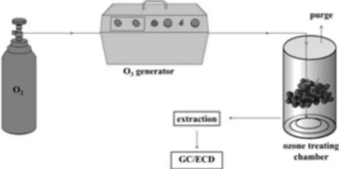 Figure 2. Schematic diagram of the experimental setup.