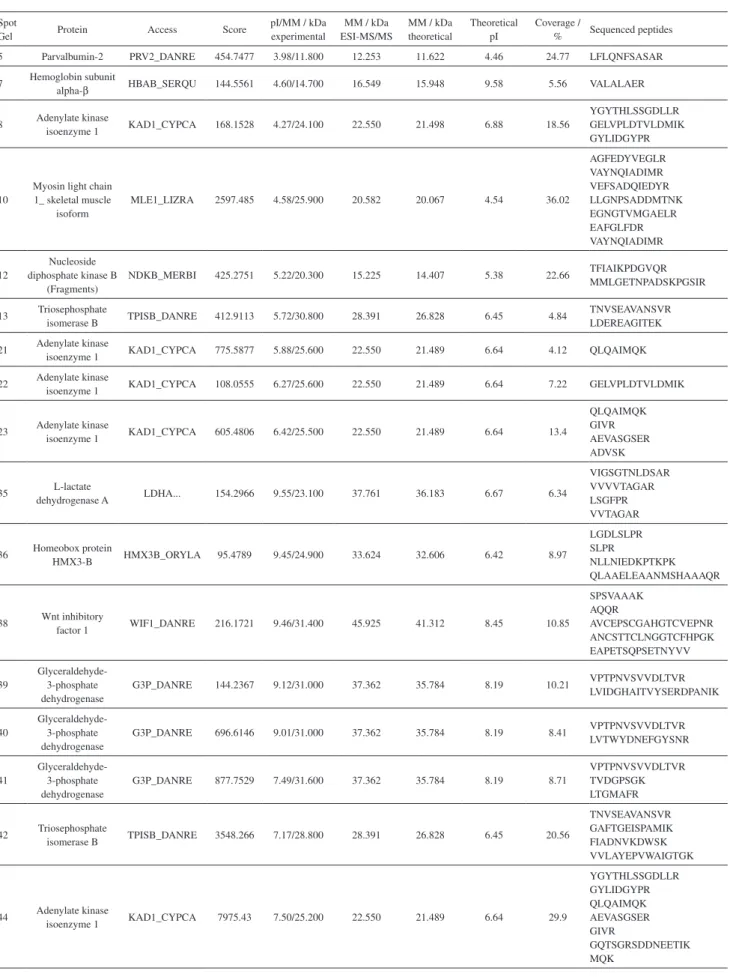 Table 3. Proteins identified using ESI-MS/MS