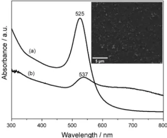 Figure 1a shows the UV-Vis absorption spectrum of  the AuNP colloidal solution, where can be observed the  localized surface plasmon band (LSPR) at 525 nm, which  is a standard optical signature for the formation of AuNP  spheres in solution