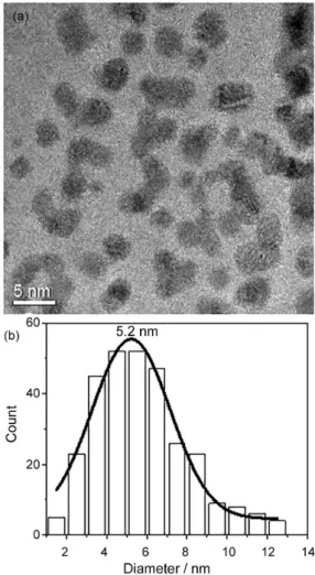 Figure 2. HRTEM image showing the AuNP into the chitosan structure (a)  and the histogram of the AuNP size distribution (b).