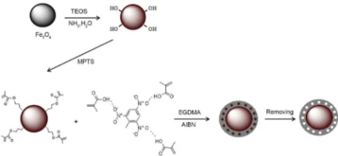 Figure 1. Synthesis route of TNT-MMIP by surface grafting  polymerization.