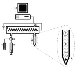 Figure 1 shows the PTOCO system schematics. 