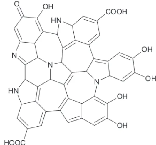 Figure 1. Most accepted melanin structure.
