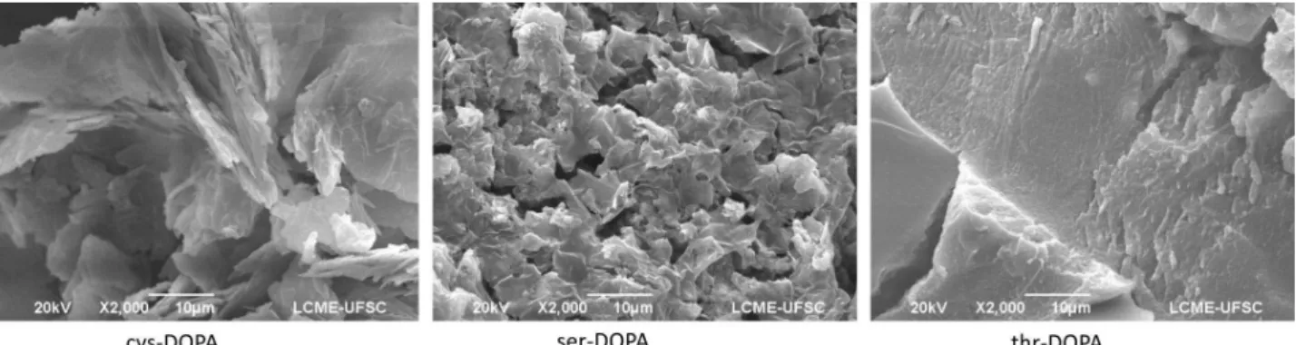 Figure 2. Scanning electron microscopy images of the three melanins synthesized in this work.