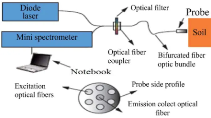 Figure 1. Experimental scheme of the portable LIFS system.