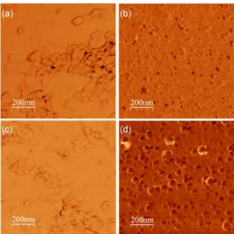 Figure 5. Phase contrast images obtained by AFM. (a) Blank film at room  temperature; (b) AgNP film at room temperature; (c) blank film heated to  200 ºC; (d) AgNP film heated to 200 ºC.