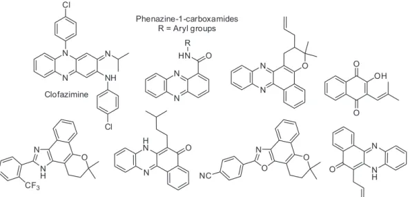 Figure 1. Clofazimine, phenazine-1-carboxamides, and examples of compounds obtained from lapachol (1) with activity against M