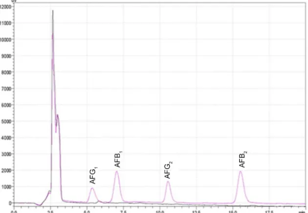 Figure 1. Chromatograms of blank sample (black line) and spiked sample (pink line) with 10 ng mL −1  of AFG 1  and AFB 1 , and 3.3 ng mL −1  of AFG 2  and AFB 2 .