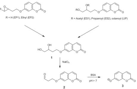 Figure 1. Fluorogenic probes used in miniaturized assays.