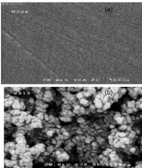 Figure 1.  Scanning electron microscopy of (a) bare GCE and   (b) GCE/IrOx.