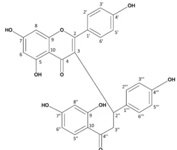Figure 1. Chemical structure of caesalpinioflavone, a novel biflavonoid  isolated from the stem bark of Caesalpinia pluviosa var