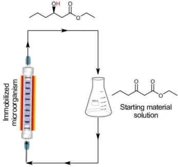 Table 1. Bioreduction of ethyl 3-oxohexanoate (1) to ethyl (R)-3- (R)-3-hydroxyhexanoate (3a) by immobilized K