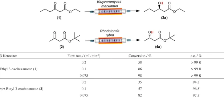 Figure 3. Conversion × time, on reaction loop system. Bioreduction  of ethyl 3-oxohexanoate (1) to ethyl (R)-3-hydroxyhexanoate (3a) by  immobilized  K