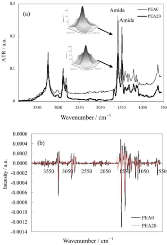 Figure 1a and 1b show the ATR-FTIR spectra of nylon 6  and polyesteramides copolymer with 20 wt.% CLO content  and the corresponding derivatives