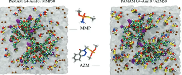Figure 1. G4-Asn 10  models on a box containing explicit water molecules and Cl −  ions