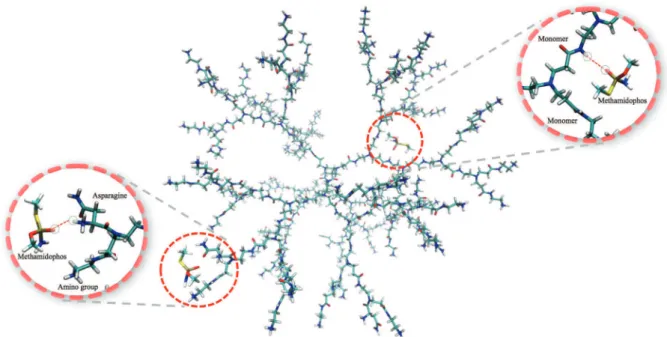Figure S4 (SI section) shows RDF of G4-Asn 10 /MMP  (1:50) and G4-Asn 10 /AZM (1:50) systems