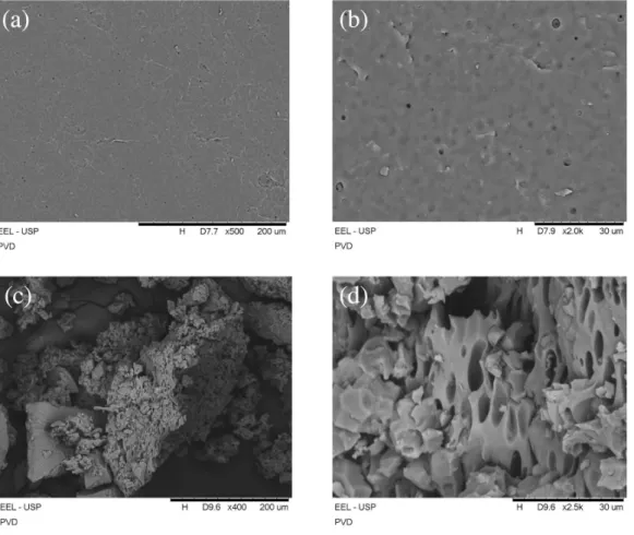 Figure 3. Scanning electron microscopy (SEM) micrographs of PDMS-net-P(VTMS-co-DMAEMA) (PVD) at different magnifications: (a), (b) film  surface and (c), (d) powdered material.