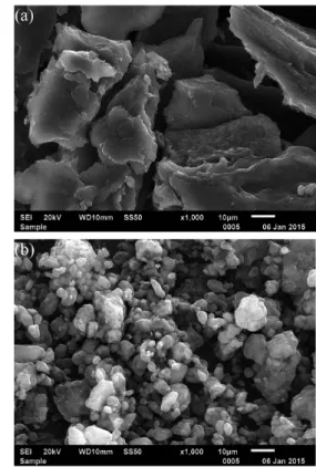 Figure 2. The carboxyl process of multiwalled carbon nanotubes  (MWCNTs).