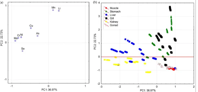Figure 1. (a) Loading graph of PC1 × PC2 and (b) score graph of PC1 × PC2 for fish organ samples.
