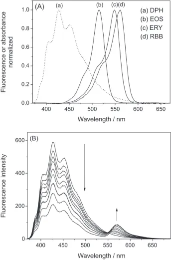 Figure 5. (A)  DPH normalized fluorescence spectrum (dashed line)  (donor) and normalized absorption spectra (solid line) of the acceptors  (EOS, ERY and RBB) in DPPC liposomes at 30.0 °C; (B) FRET between  DPH and ERY in DPPC liposomes in the ratio betwee