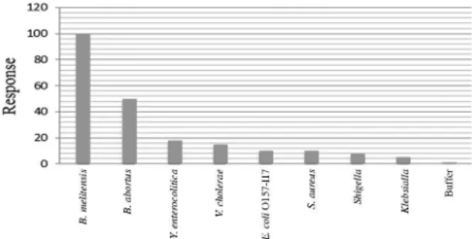 Figure 6. Determination of SPR specificity by passing of other bacteria. 