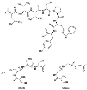 Figure 1. Structure of cysteine-triserine (CSSS) and cysteine-triglycine  (CGGG)-LTVSPWY peptides.