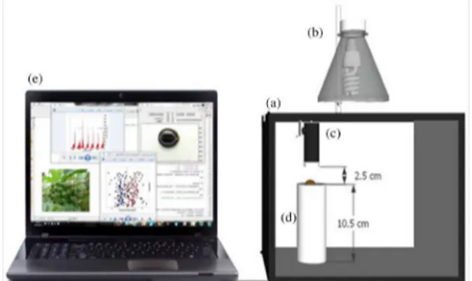 Figure 2 shows the system used for the acquisition  images of the castor seed samples