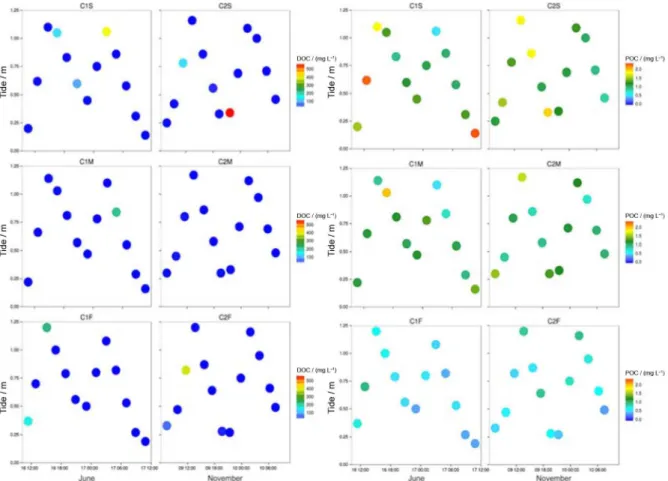 Figure 5. DOC and POC variation during 25 h tide in C1 and C2. 