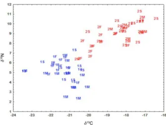 Figure 6.  d 13 C and  d 15 N in particulate organic matter from C1 (1S, 1M,  1F; in blue) and C2 (2S, 2M, 2F; in red) samplings.