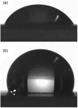 Figure 1. Drop of (a) the studied IL 1a and (b) water.