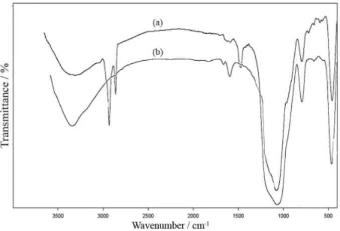 Figure 8. FTIR spectra of recovered (a) [CTA]Zn/MCM-41 and (b)  calcined Zn/MCM-41 prepared by direct synthesis approach.