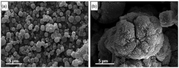 Table 3 and Figure 7 show the concentrations of major and  minor elements (XRF) as well as trace elements (ICP-MS),  respectively, in the produced zeolites.