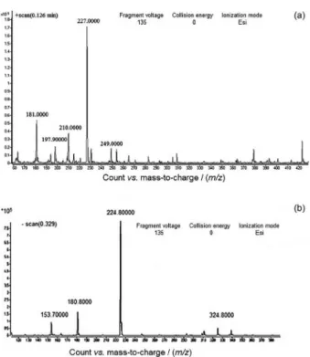 Figure 1. Ultraviolet visible (UV-Vis) absorption spectrum of dipeptide  (histidine-β-alanine).