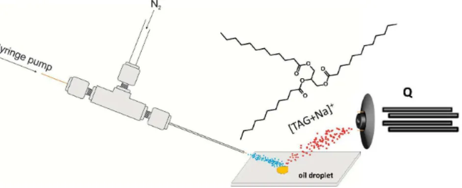 Figure 1. Scheme of EASI-MS source applied for the analysis of oil.