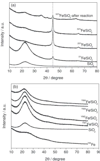 Figure 2 shows SEM micrographs of the Fe/SiO 2