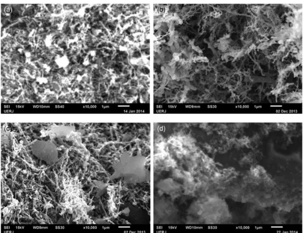 Figure 2. Scanning electron microscopy (SEM) micrographs of the catalysts (10,000 × )