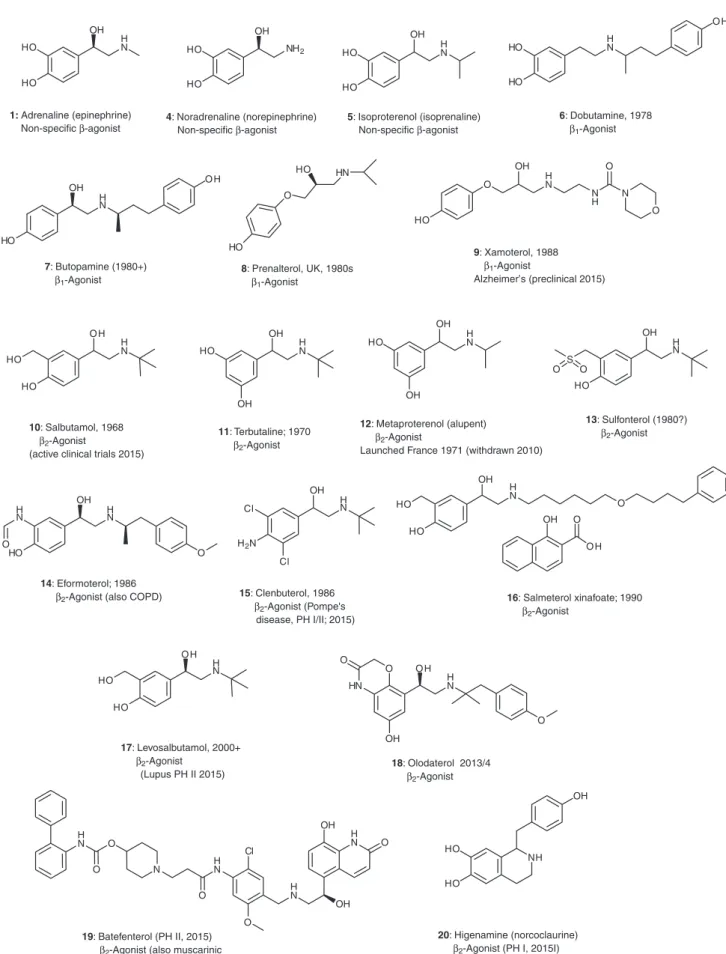 Figure 1. Non-specific β and β 1 - and β 2 - specific agonists.