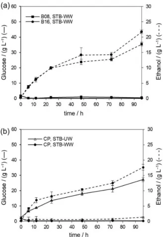 Figure 4. Glucose consumption and ethanol production for SSF  experiments using (a) B08 and B16 steam-treated water-washed  (STB-WW) substrates; (b) unwashed steam-treated substrates (STB-UW)  derived from the CCD center point (CP).
