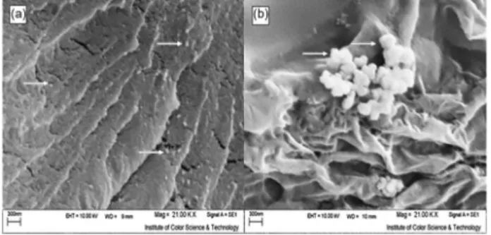 Figure 3.  SEM images of (a) N-GO/AgNPs/GCE; (b) N-GO/AgNPs/