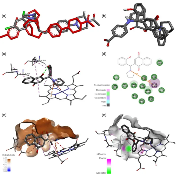 Figure 1. Docking results between lawsone and 3OZW. (a) Redocking of ketoconazole; (b) cluster formed by compounds 4, 11 and 12; (c) 3D compound  4-3OZW intermolecular interactions; (d) 2D intermolecular interactions diagram between compound 4 and 3OZW; (e