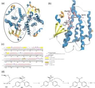 Figure 1. Cartoon representation of the X-ray structure of AgGSTE2 (PDB  ID 2IMI). (a) Homodimer; (b) active site in one monomer